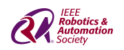 IEEE RAS